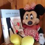 Sophie Kinsella - La regina della casa - un cuore tra i libri