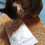 Ken Follet - Nel bianco - un cuore tra i libri