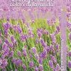 Nastri profumi e colori di lavanda di Annamaria Platania - Un Cuore Tra i Libri Annamaria Platania-nastri profumi e colori di lavanda - un cuore tra i libri