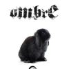 Ombre di Jonathan Fiorentino - Un Cuore Tra i Libri Jonathan Fiorentino-Ombre - un cuore tra i libri