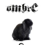 Jonathan Fiorentino-Ombre - un cuore tra i libri