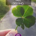 Raffaella Franceschini-Fate Destino-intervista - un cuore tra i libri