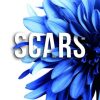 Aria M-Scars - un cuore tra i libri