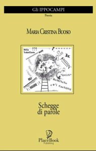 Copertina recensione: Schegge di parole di Maria Cristina Buoso