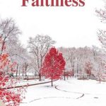 Allyson Taylor-Faithless - un cuore tra i libri