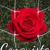 Lella Dellea-Conquiste - un cuore tra i libri