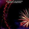 The Roller Coaster - Up'n'Down di Anna Annina Lorenzi - Un Cuore Tra i Libri Anna Annina Lorenzi-The roller coaster - un cuore tra i libri