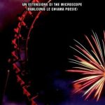 Anna Annina Lorenzi-The roller coaster - un cuore tra i libri