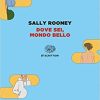 Dove sei mondo bello - Sally Rooney - un cuore tra i libri
