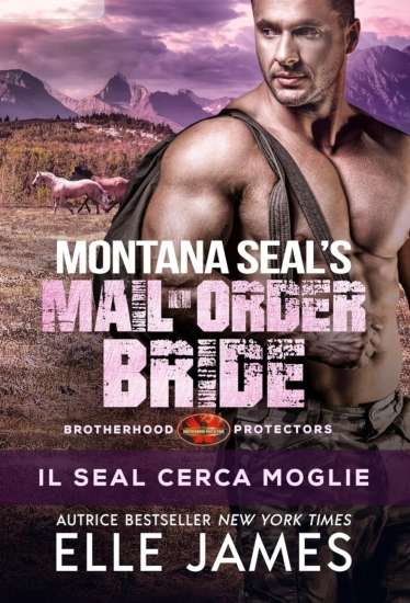 Elle James-Il Seal cerca moglie - un cuore tra i libri