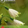 Bucaneve Calpestato (I read it) di Khrystyna Gryshko - Un Cuore Tra i Libri khrystyna-gryshko-bucaneve-calpestato-i-read-it.jpg - un cuore tra i libri
