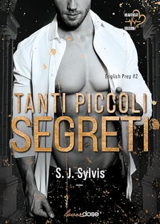 Tanti piccoli segreti di S. J. Sylvis - Un Cuore Tra i Libri