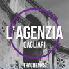 L'Agenzia: Cagliari di Trachemys Scripta - Un Cuore Tra i Libri L'Agenzia: Cagliari di Trachemys Scripta