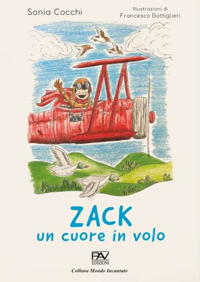 Zack un cuore in volo di Sonia Cocchi - Un Cuore Tra i Libri Zack un cuore in volo di Sonia Cocchi