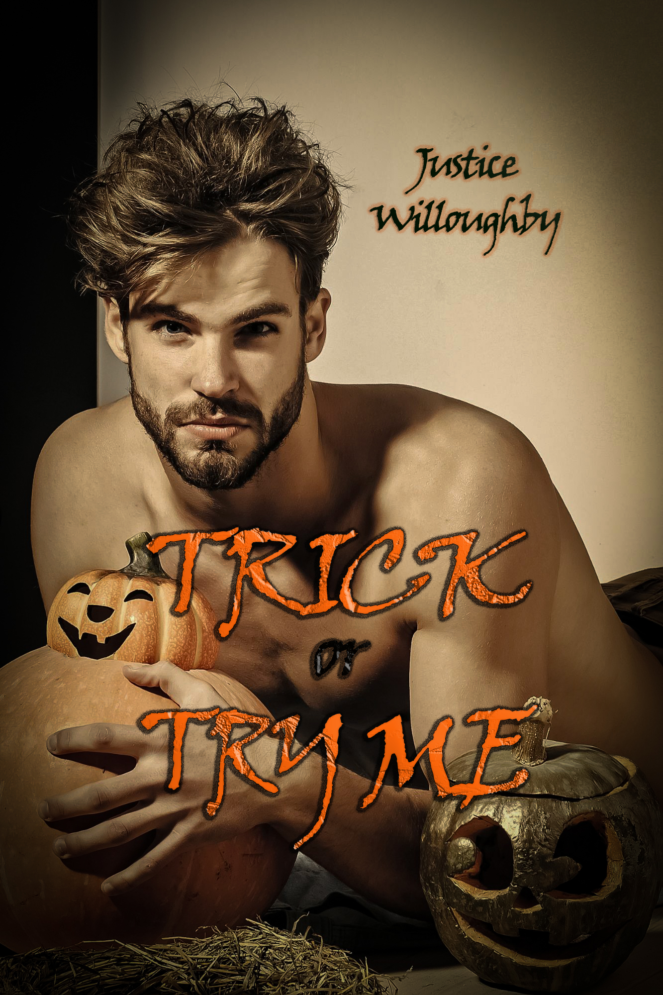 Copertina libro di Justice Willoughby